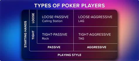 A image detailing the four main styles of poker players.